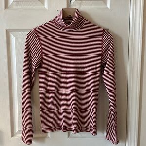 Everlane The Pima Turtleneck